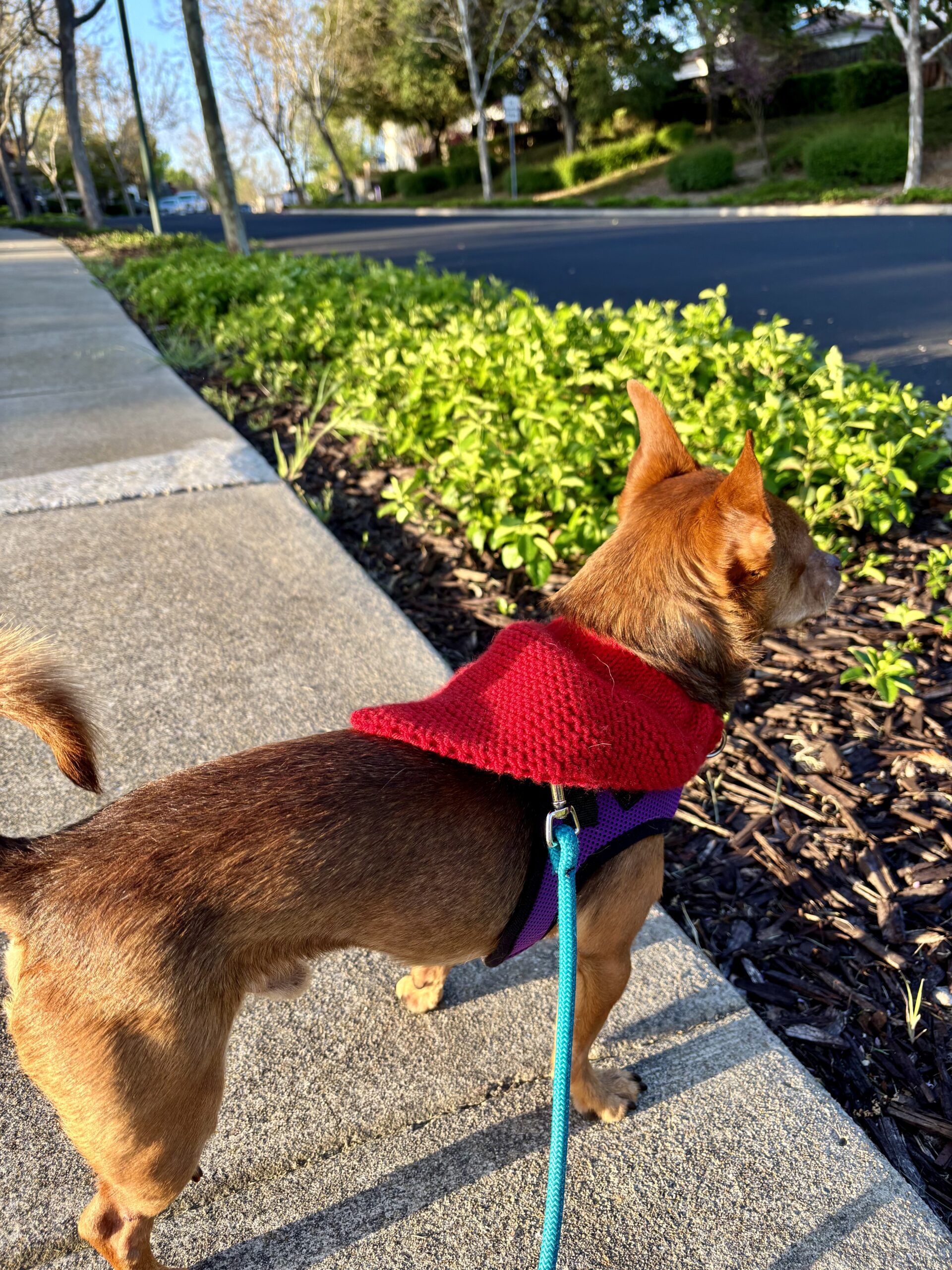 A Sweater Bandana in the Most Beautiful Red